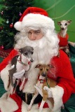 Hooper, Isis, and Juliette with Santa